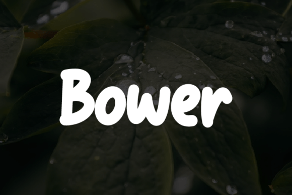 Enhance Your Web Design with Bower Font