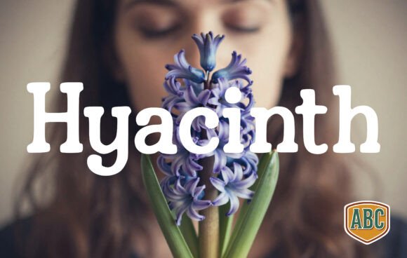 Hyacinth: A Timeless Handwritten Font for Editorial Design
